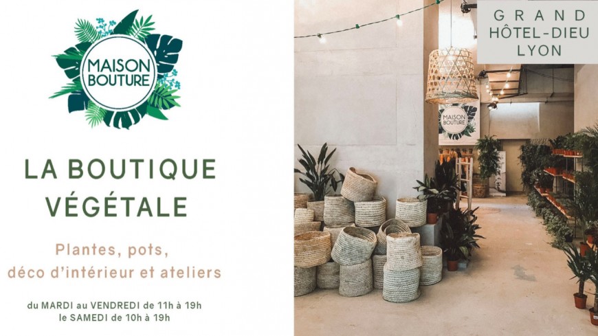 La Boutique végétale Maison Bouture à Lyon La Boutique végétale Maison Bouture à Lyon