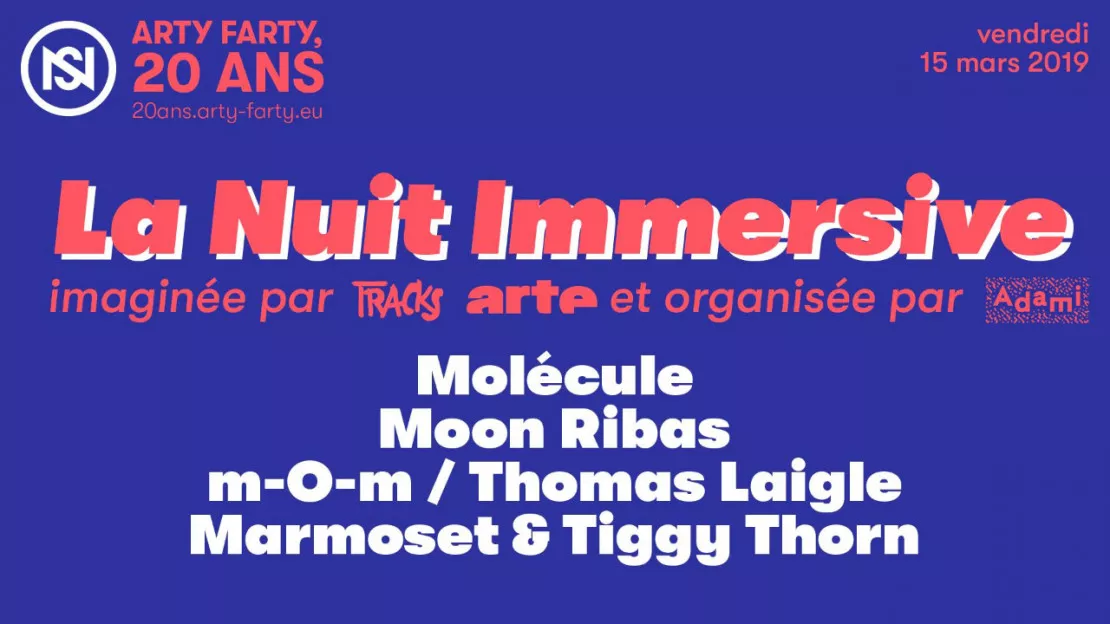 La Nuit Immersive - Arty Farty, 20 ans !