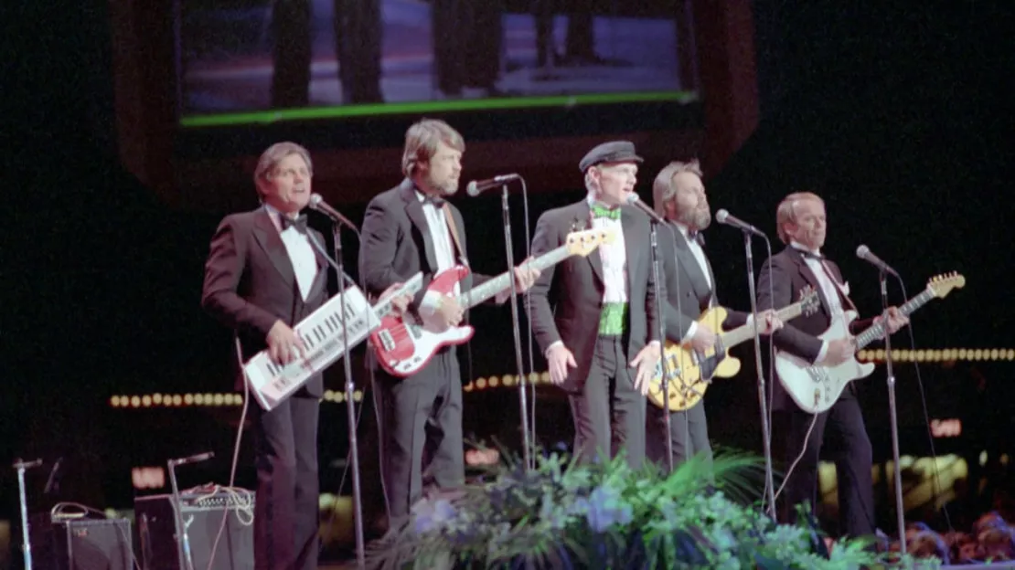 The Beach Boys : un documentaire et un livre annoncés !