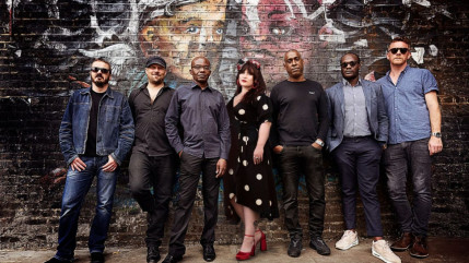 Amy Winehouse : son groupe va fêter son quarantième anniversaire Amy Winehouse : son groupe va fêter son quarantième anniversaire