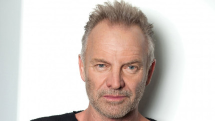Sting veut mener bataille contre l'intelligence artificielle Sting veut mener bataille contre l'intelligence artificielle